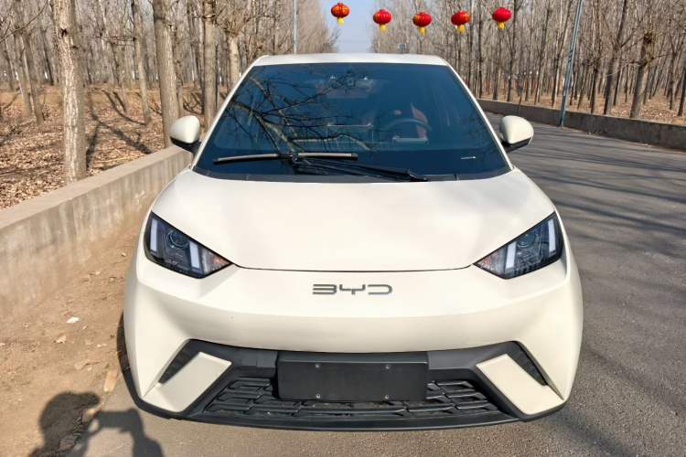 Used BYD Seagull 2023 Active Version
