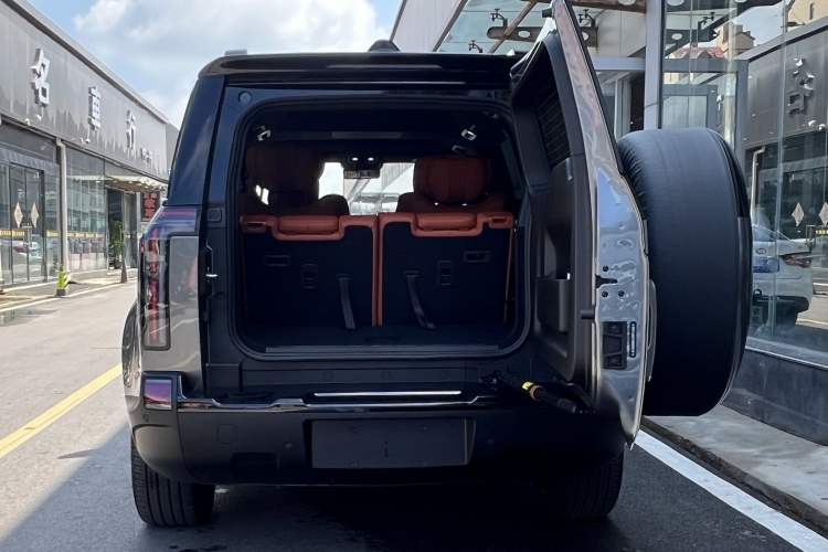 Used  01 2024 Deluxe 6-Seater Long-Range Version
