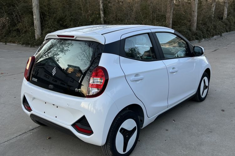 Used JMEV  2024 201km Comfort Version
