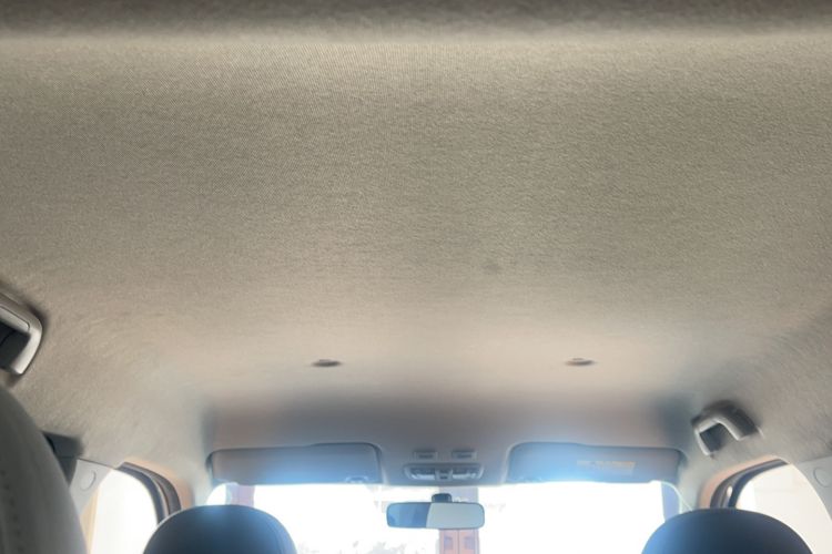 Used ORA White Cat 2020 305 km Luxury Version
