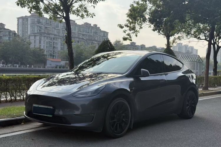 Used Tesla Model Y 2021 Long-Range All-Wheel-Drive Version 3D7
