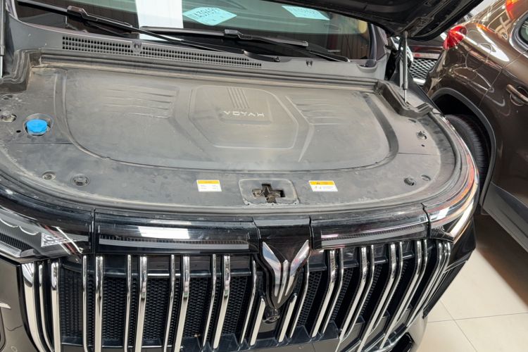 Used VOYAH Dream 2024 PHEV Extended-Range Premium Edition
