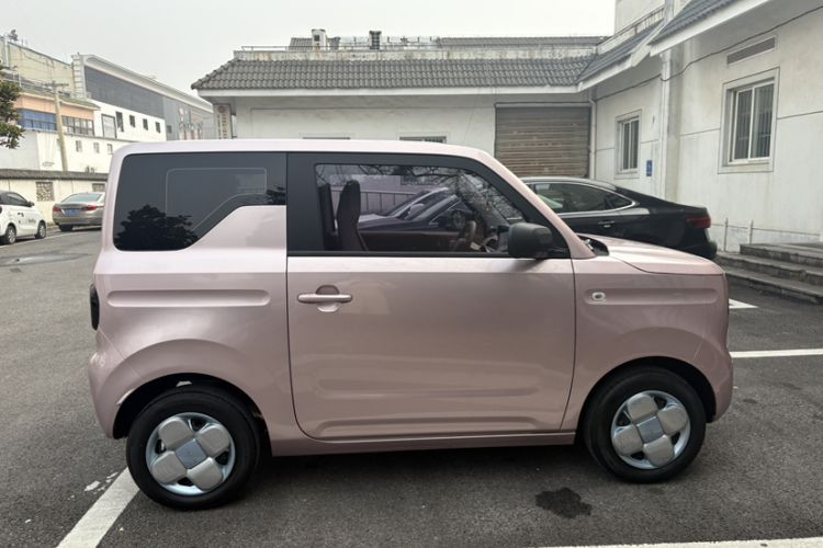 Used  Panda 2023 Panda Mini 200km Endurance Bear