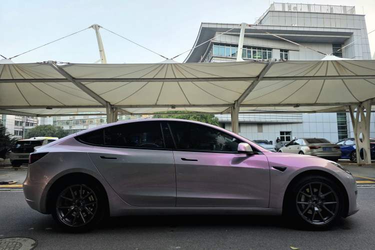 Used Tesla Model 3 2021 Revised Version Standard Range Rear-Wheel Drive Upgraded Edition 3D1
