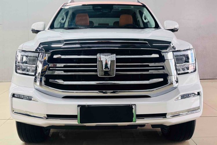 Used Tank 500 New Energy 2025 Hi4-Z
