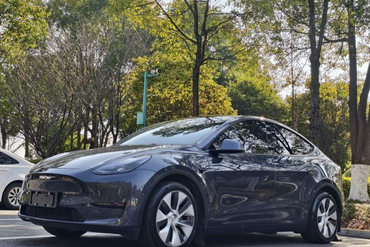 Used Tesla Model Y 2022 Rear-Wheel-Drive Version