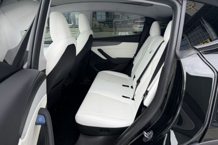 Used Tesla Model Y 2025 Updated Version Long-Range All-Wheel Drive
