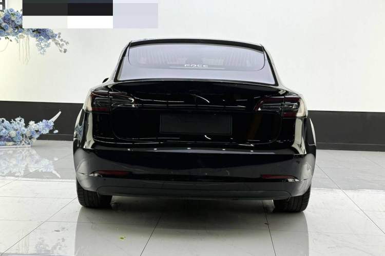 Used Tesla Model 3 2020 Standard Range Rear-Wheel Drive Upgraded Version
