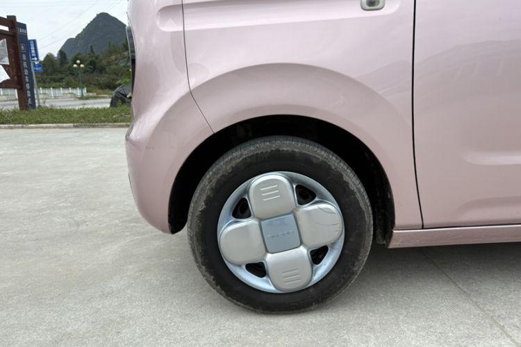 Used  Panda 2023 Panda Mini 200km Endurance Bear
