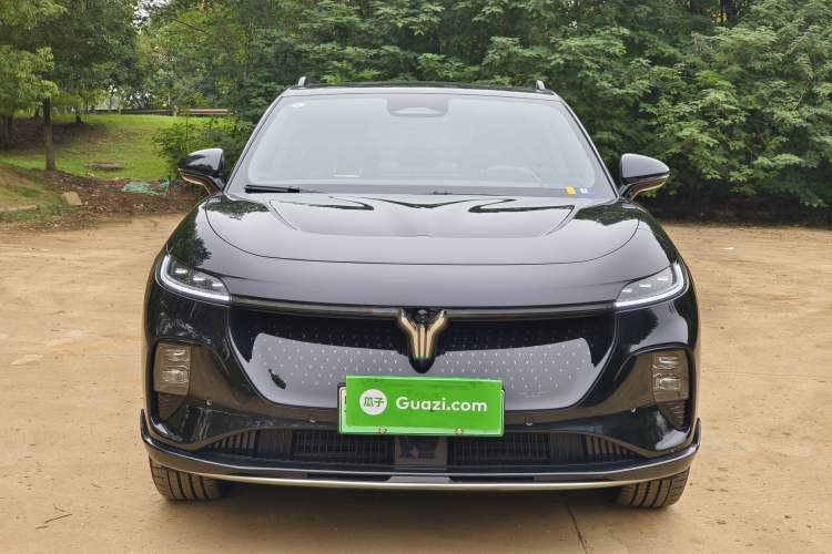 Used VOYAH COURAGE 2024 Four-Wheel Drive Global Edition