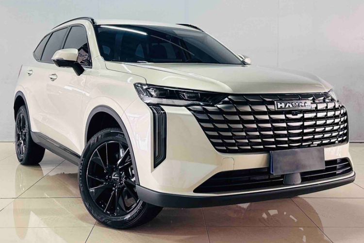 Used Haval H6 2024 1.5T Two-Wheel Drive Pro