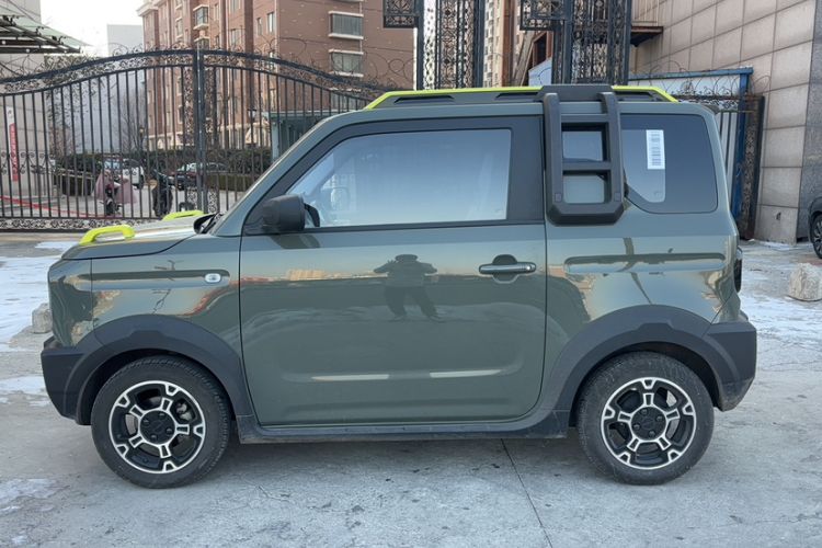 Used  Panda 2024 200km Panda Rider