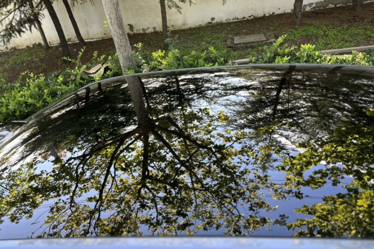 Used  07 2024 Max Extended-Range Edition
