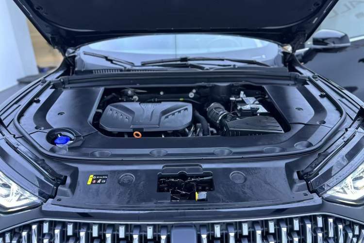 Used Wey Mocha 2021 2.0T Two-Wheel-Drive Premium Edition