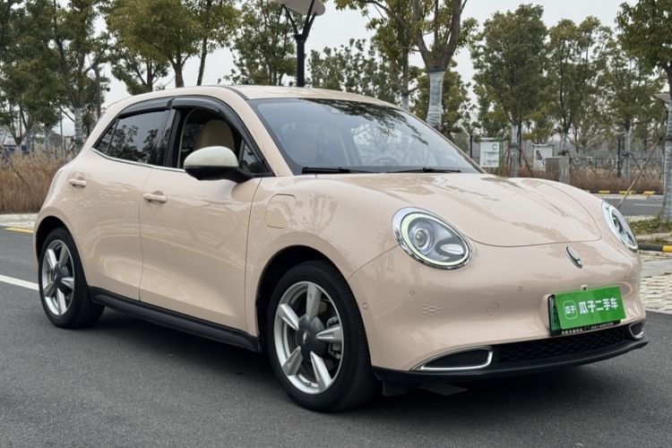 Used ORA Good Cat 2021 500km Long-Range Poseidon Edition Lithium-Ion Battery
