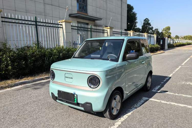 Used  Panda 2023 Panda Mini 200km Endurance Bear
