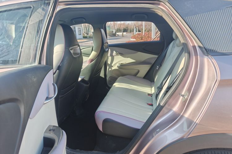 Used BYD Dolphin 2021 405 km Free Version
