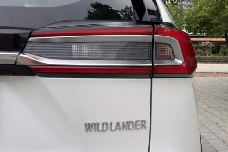 Used Toyota Wildlander 2020 2.0L CVT Two-Wheel Drive Luxury Edition