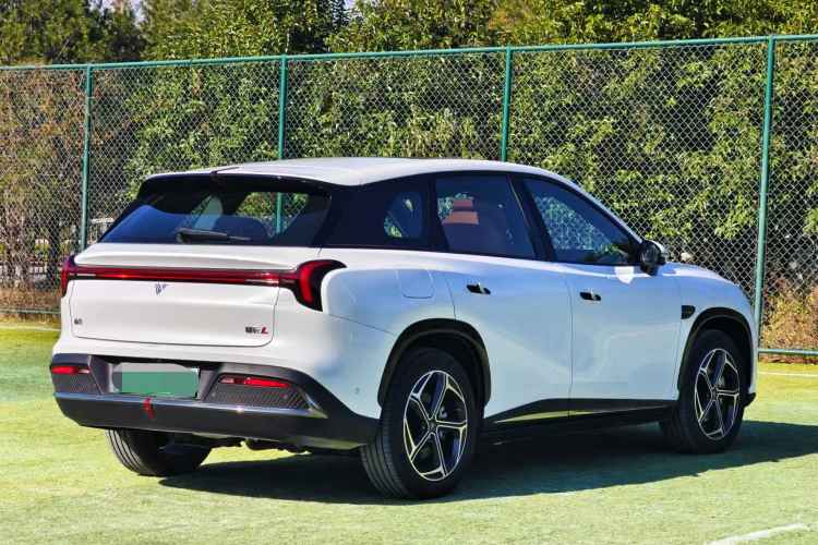 Used NETA L 2024 Extended-Range 220 PRO+ Family Package