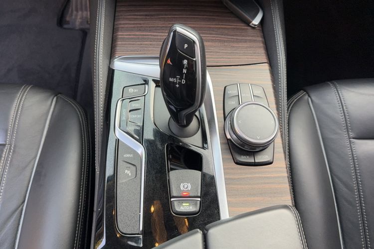 Used BMW 5 Series New Energy 2019 530Le Luxury Package