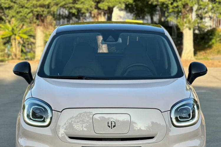 Used Leapmotor T03 2021 400 Luxury Edition
