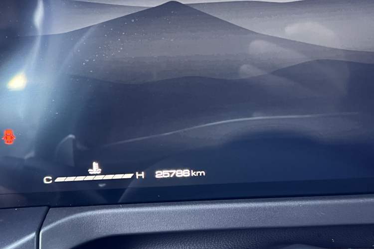 Used Tank 300 2024 2.0T Conqueror
