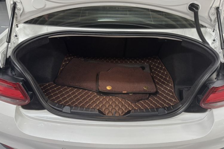 Used BMW 2 Series 2018 225i M Sport
