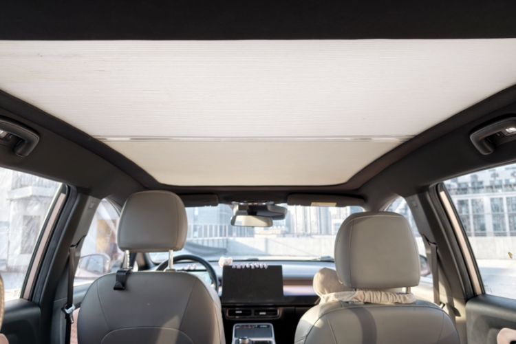 Used AION Y 2022 70 Enjoyment Edition Lithium Iron Phosphate
