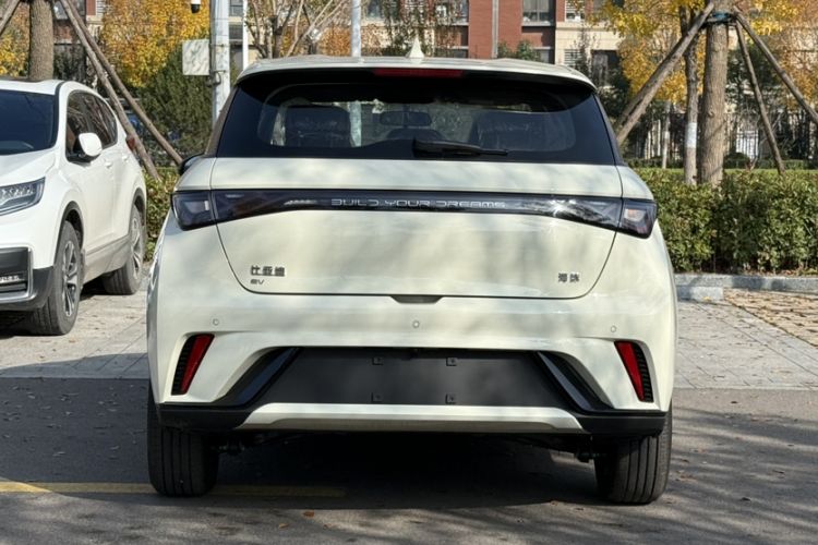 Used BYD Dolphin 2025 420km Free Edition
