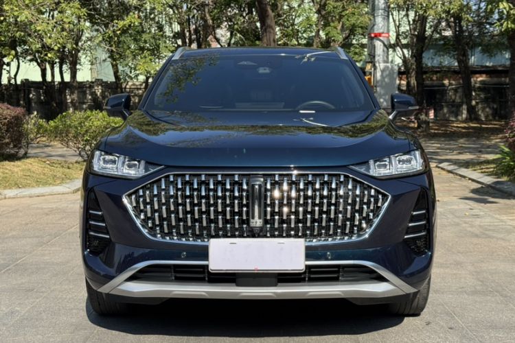 Used Wey Mocha 2021 2.0T Two-Wheel-Drive Premium Edition
