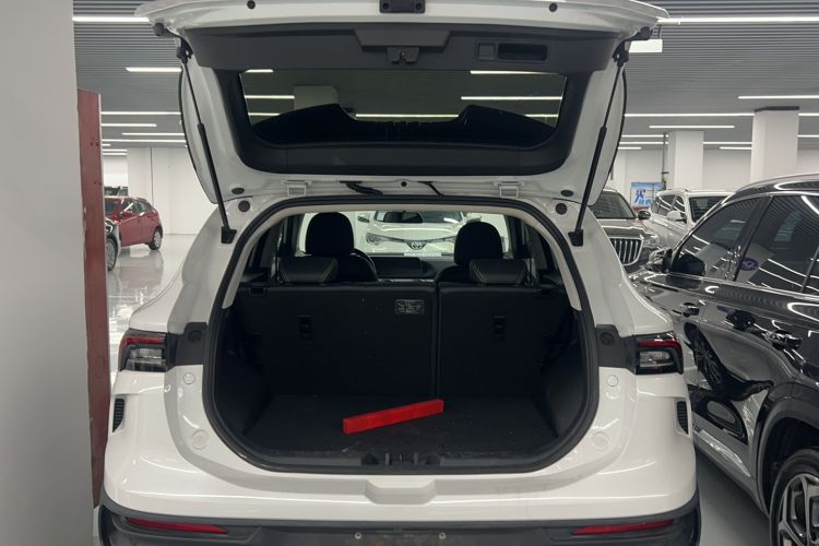 Used FORTHING T5 EVO 2024 Kungbiao Edition 1.5TD DCT Platinum Model