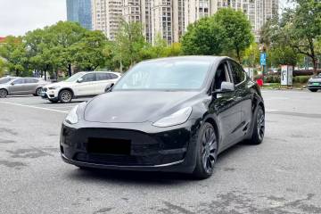 Used Tesla Model Y 2023 High-Performance All-Wheel-Drive Version