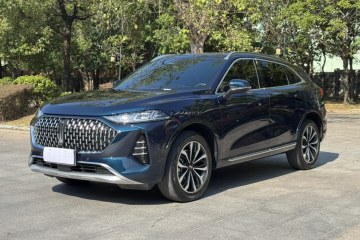 Used Wey Mocha 2021 2.0T Two-Wheel-Drive Premium Edition