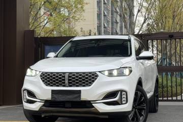 Used Wey VV6 2021 2.0T Two-Wheel Drive Smart Plus