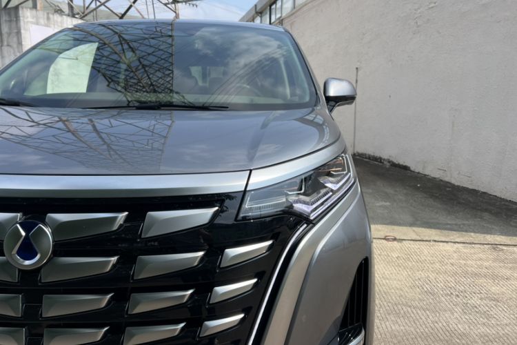 Used Denza D9 2022 DM-i 970 Four-Wheel Drive Flagship Model
