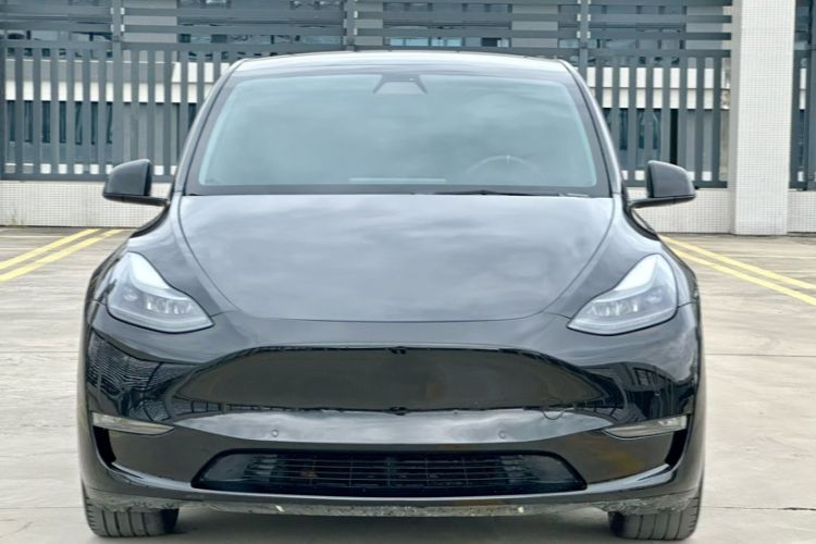 Used Tesla Model Y 2021 Standard Range Rear-Wheel Drive Version
