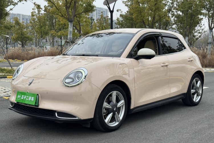 Used ORA Good Cat 2021 500km Long-Range Poseidon Edition Lithium-Ion Battery