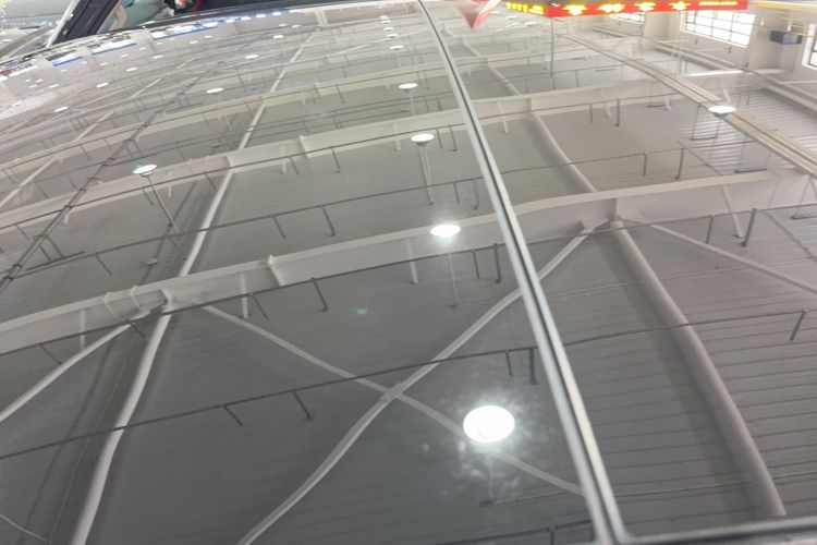 Used Li Auto L9 2024 Pro Model