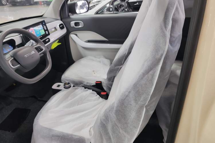 Used  Panda 2025 210 km – Yuanqi Bear
