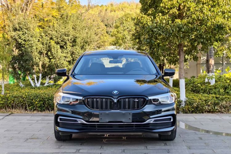Used BMW 5 Series 2019 Facelifted 530Li Leading Edition Luxury Package