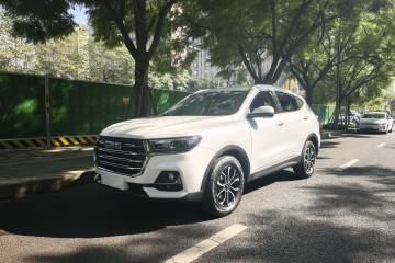 Used Haval H6 2021 National Trend Edition 1.5T Automatic Urban Version