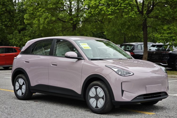 Used  Geome 2025 310km Youth Edition
