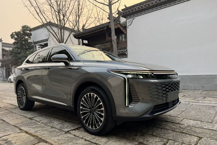 Used  Stellar 2023 400T Four-Wheel Drive Deluxe Flying Fish Edition