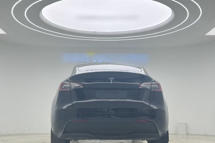 Used Tesla Model Y 2022 Revised Version Long-Range All-Wheel Drive