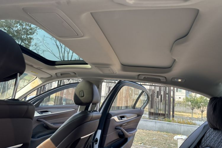 Used BMW 5 Series New Energy 2020 530Le Luxury Package
