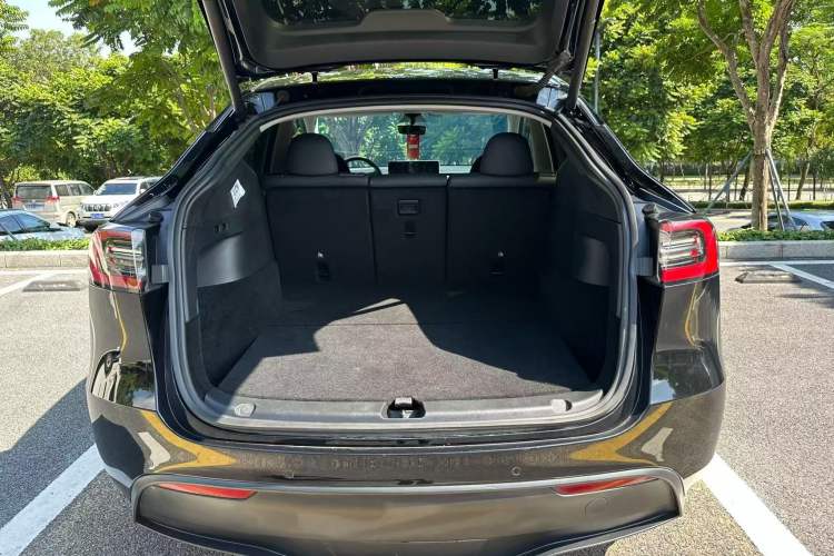 Used Tesla Model Y 2021 Standard Range Rear-Wheel Drive Version
