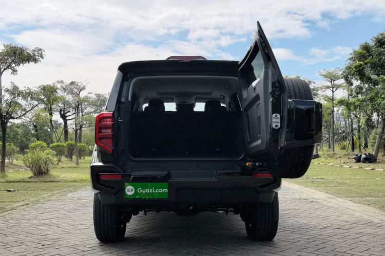 Used Tank 400 2025 2.0T Gasoline Version
