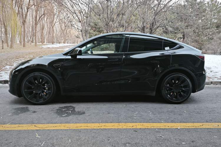 Used Tesla Model Y 2021 Standard Range Rear-Wheel Drive Version
