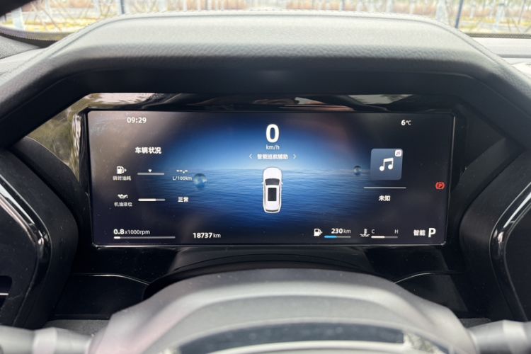 Used Geely Auto Monjaro L 2024 2.0TD High-Power Automatic Two-Wheel Drive Skyline Edition
