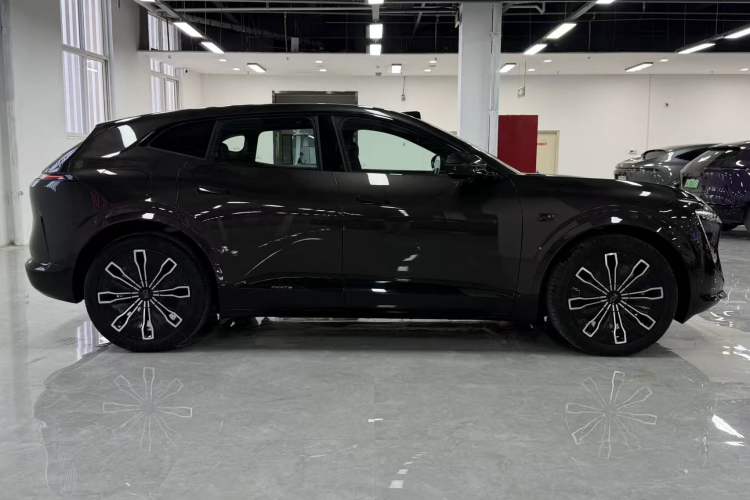 Used  07 2024 Max Extended-Range Edition
